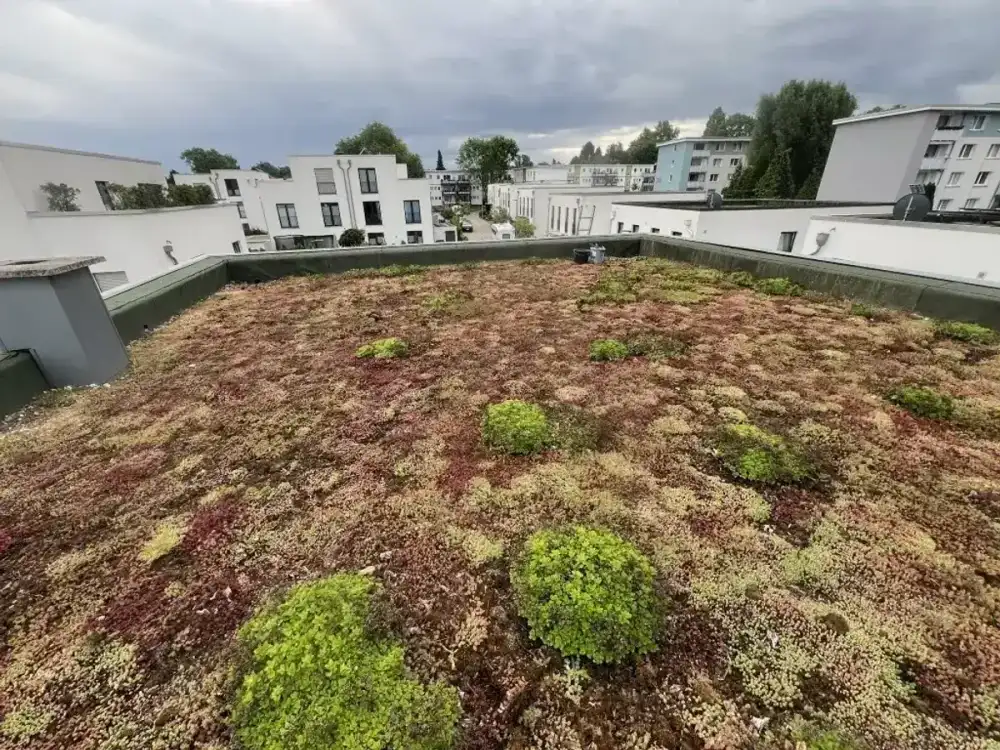 Gründach intensive Begrünung Bochum – Rex Bedachungs GmbH